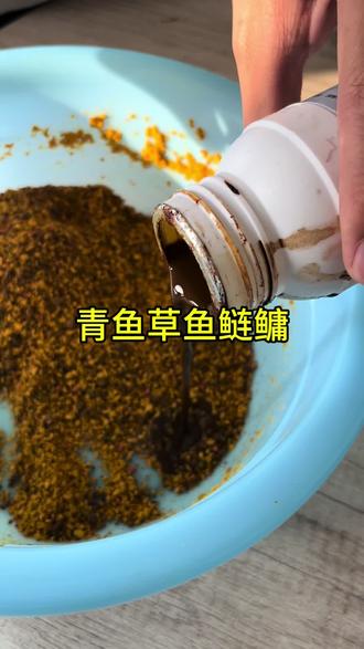 钓草鱼鲢鱼饵料(钓鲢鳙草鱼怎么调漂)