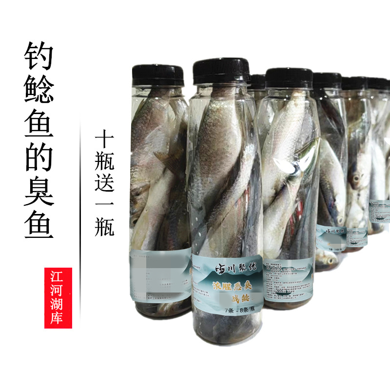 江河臭饵料(河流臭底如何钓鲤鱼)