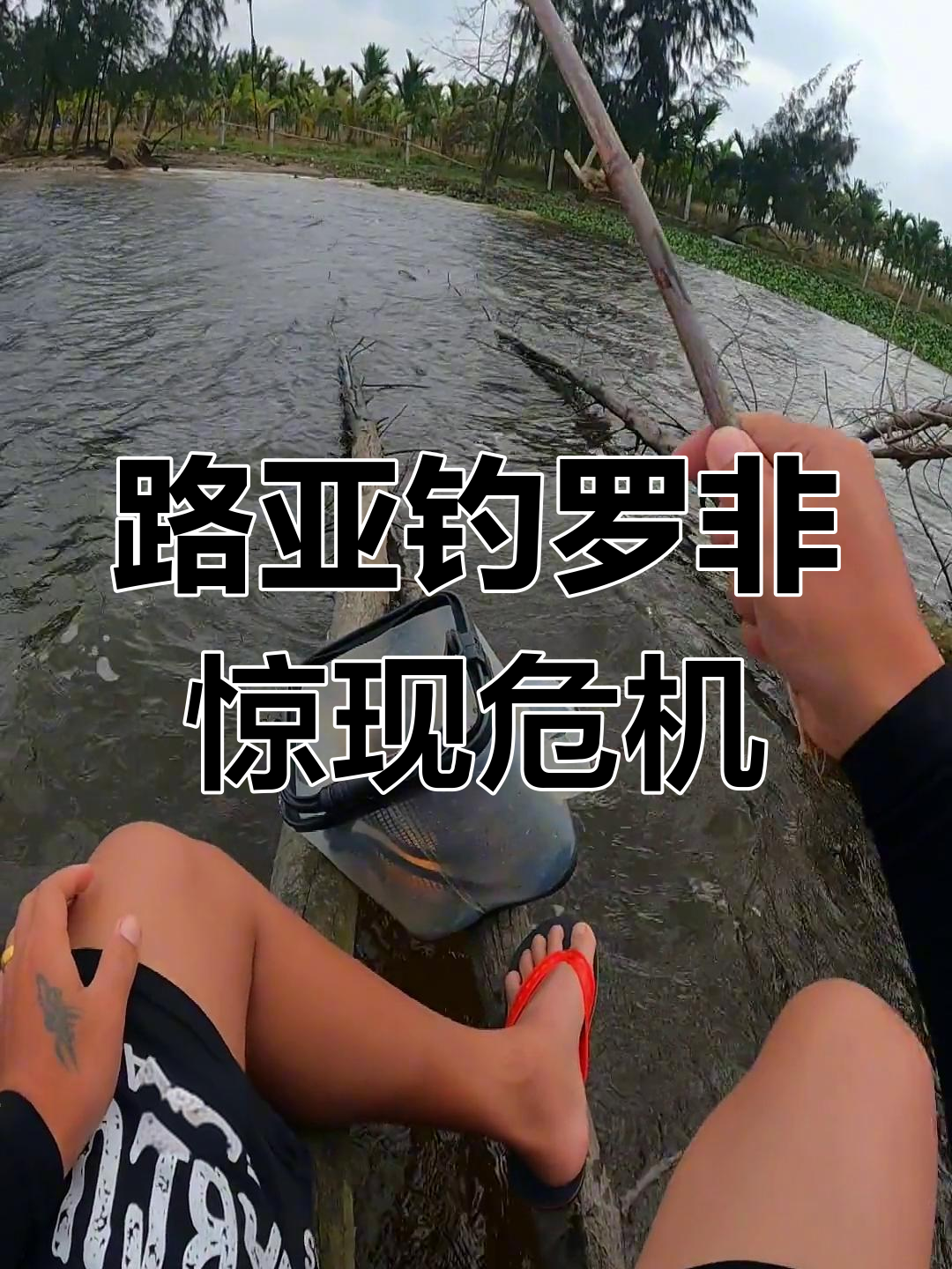 路亚罗非方法(路亚路罗非)