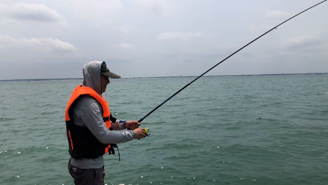 湛江市海钓(湛江市海钓最新消息)