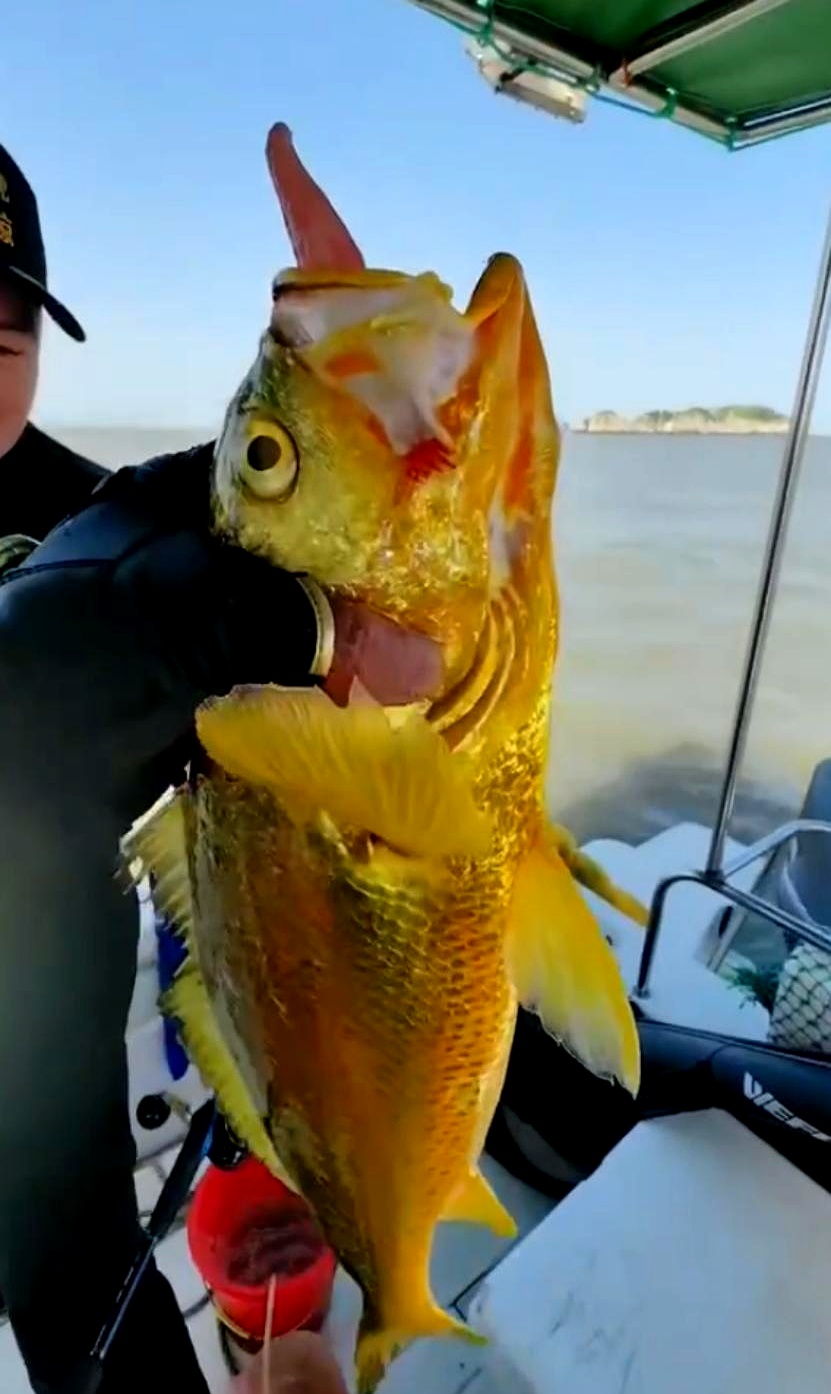 浙江海钓最佳钓场(浙江海钓费用是多少钱)