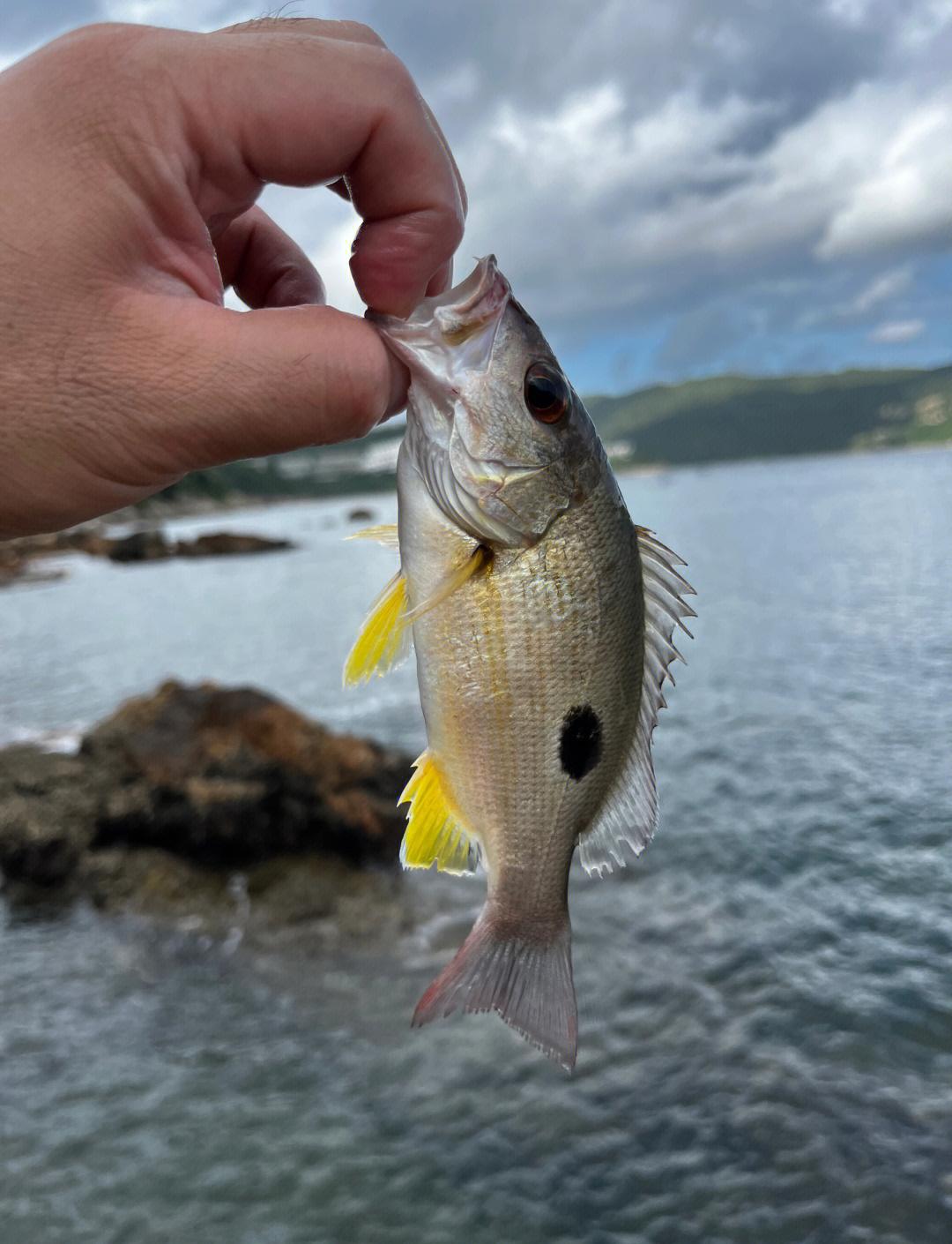 海钓礁盘(海钓礁石挂钩怎么办)