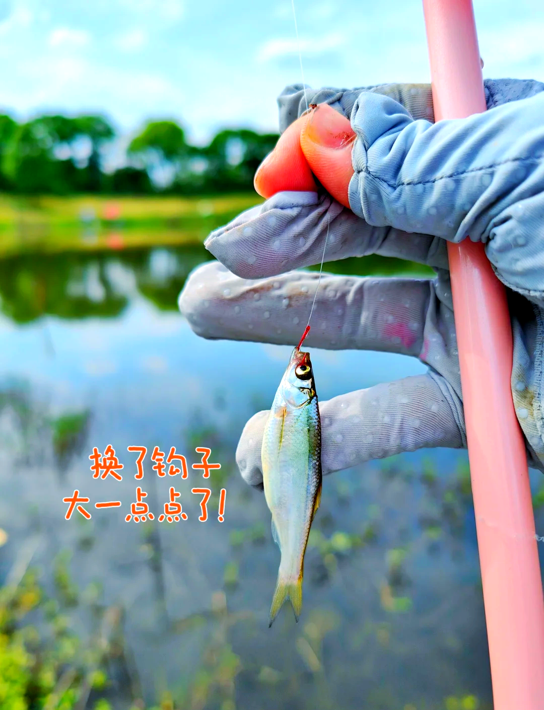 秋季野塘钓鱼技巧(秋天水塘鱼在哪里钓)