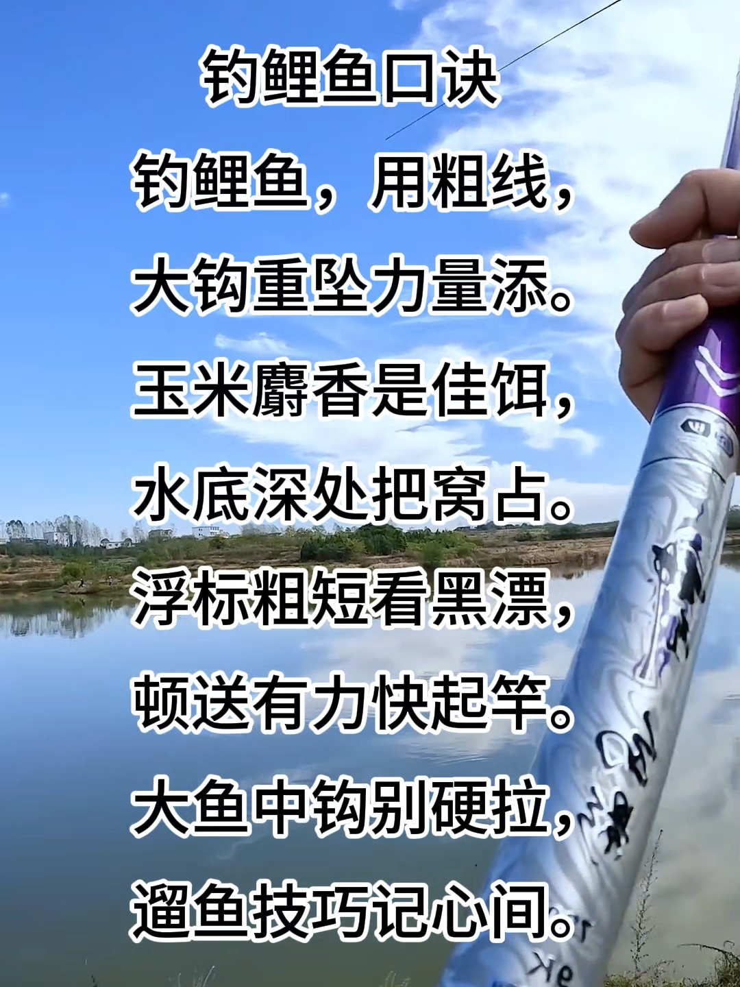 筏钓鲤鱼技巧视频教学(筏钓怎么钓鲤鱼草鱼)