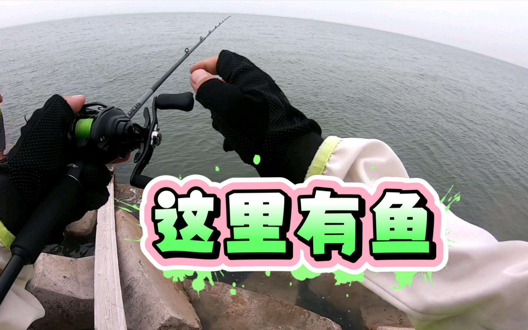 海钓鲅鱼手法(海钓鲅鱼鱼钩选择?)