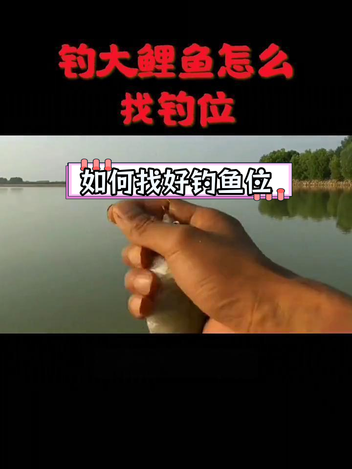 五一过后钓鲤鱼技巧(五一钓鲤鱼用什么饵料最好)