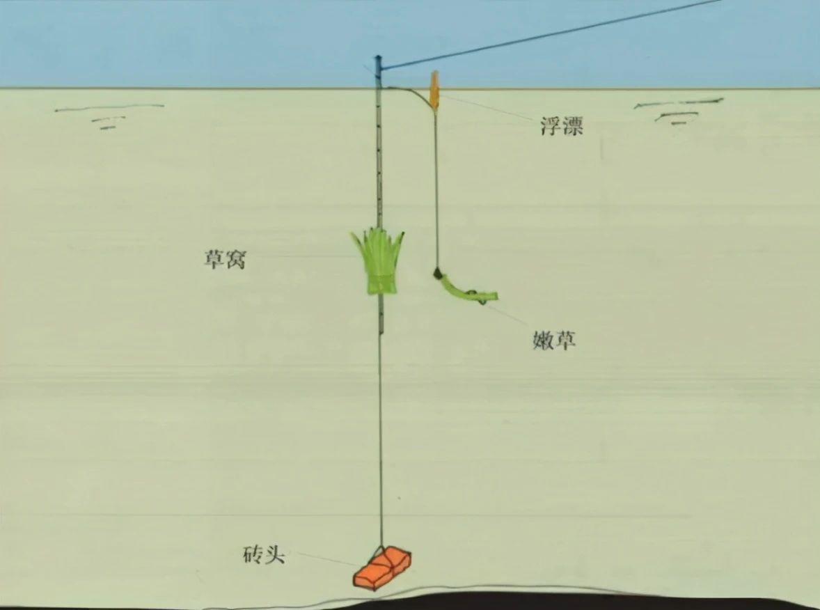 流水位置钓草鱼技巧(流水钓草鱼用什么饵比较好)