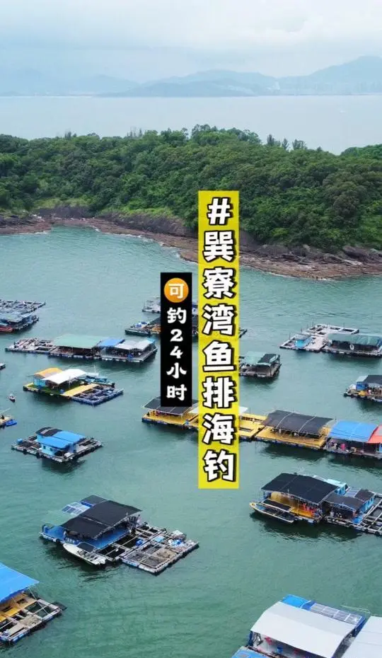 巽寮湾海钓视频(惠州巽寮湾沙滩钓鱼攻略)