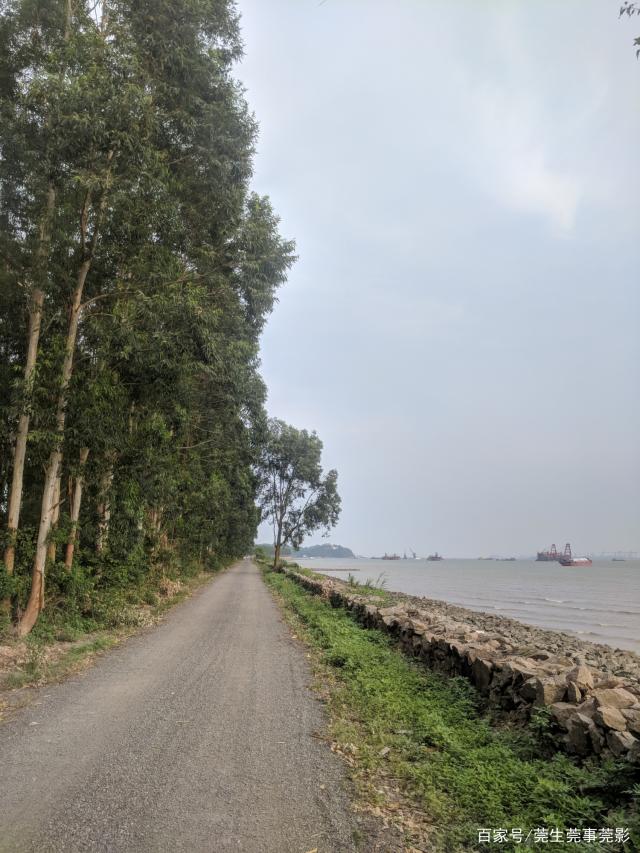 虎门威远海钓场(虎门十大免费的海滩)