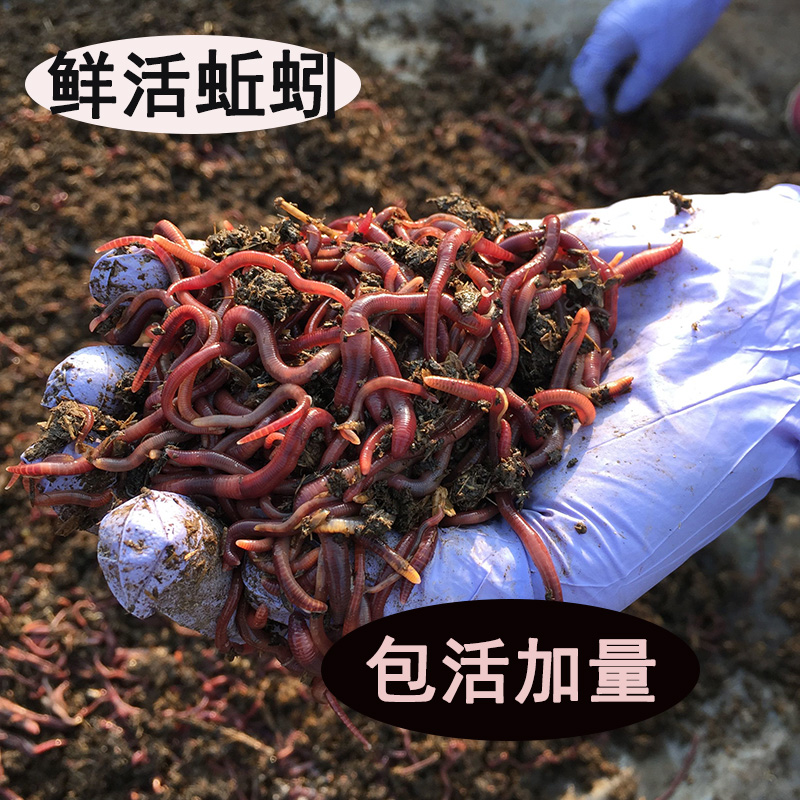 威海市立江渔具厂(威海市立江渔具厂地址)