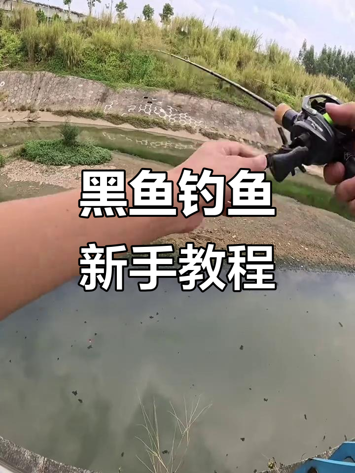 钓黑鱼技巧太难(钓黑鱼的几种方法)