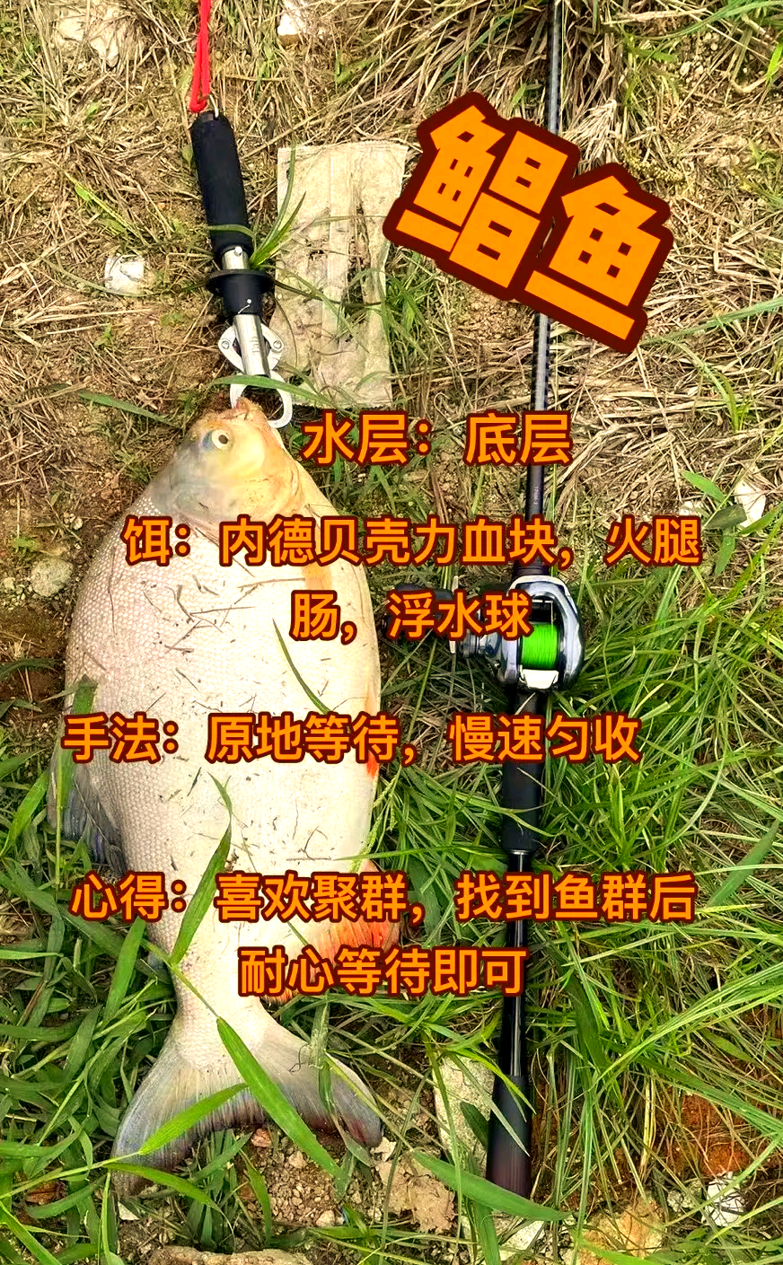 西安钓黑坑技巧(西安市黑坑钓鱼地点)