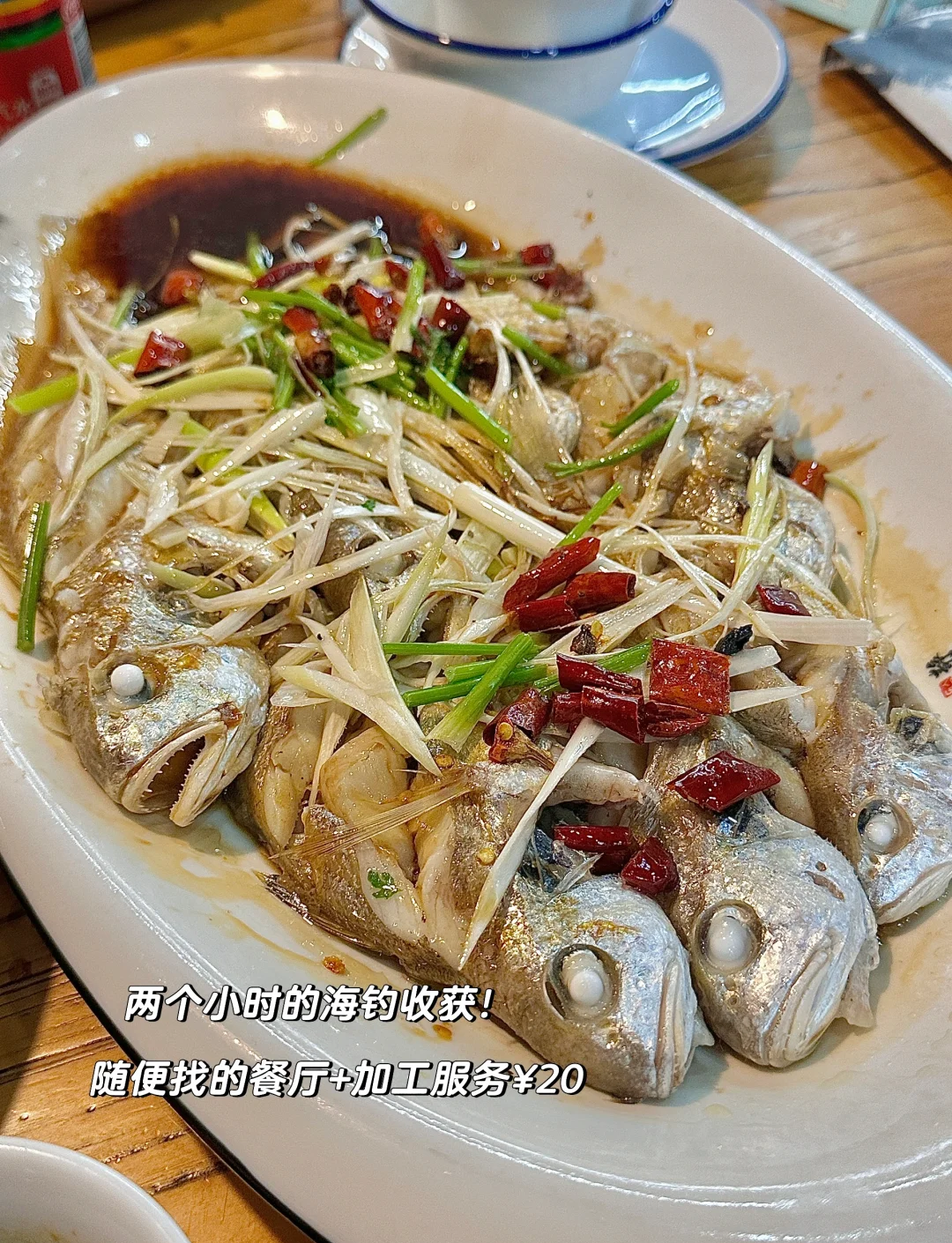 烟台夜海钓钓点(烟台海钓钓鱼论坛)