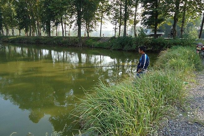 在肥水塘钓鱼技巧(肥水塘钓鱼适合钓底还是钓浮)