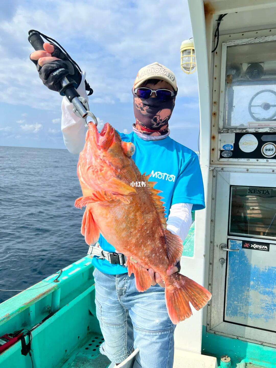 海钓拖逗领(15米海钓船多少钱一艘)