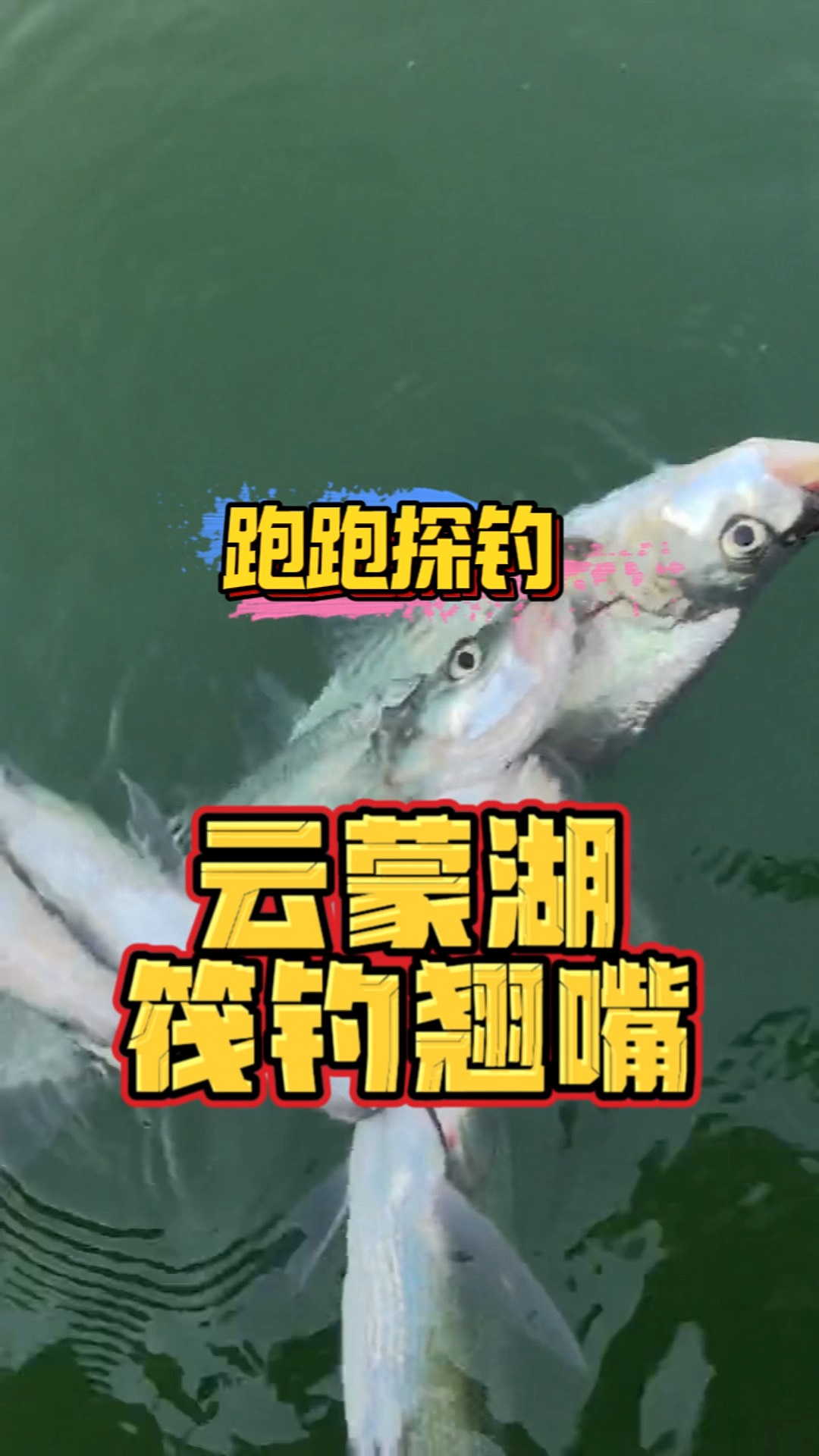 云天海钓鱼(大风天海竿钓鱼优势)