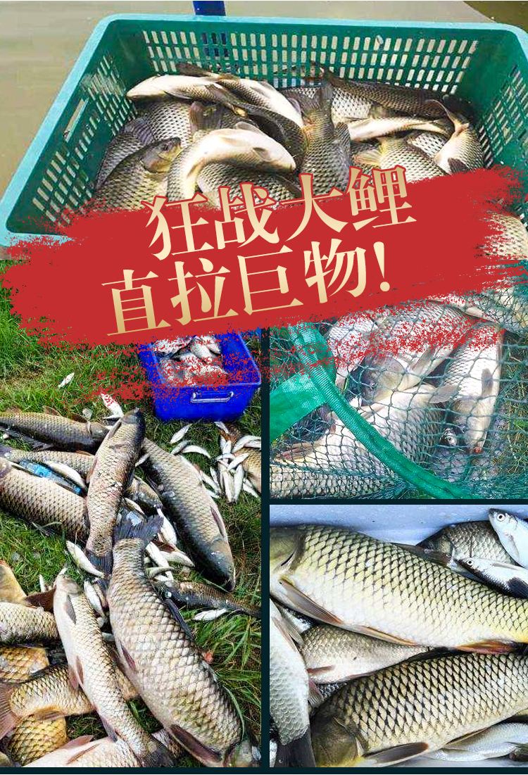中亚渔具厂战龙鲤(50级可以抓龙鲤吗)