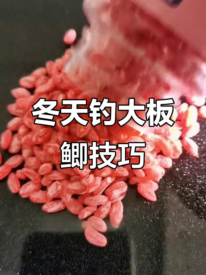 初冬蚯蚓钓大板鲫技巧(初冬蚯蚓钓大板鲫技巧图解)