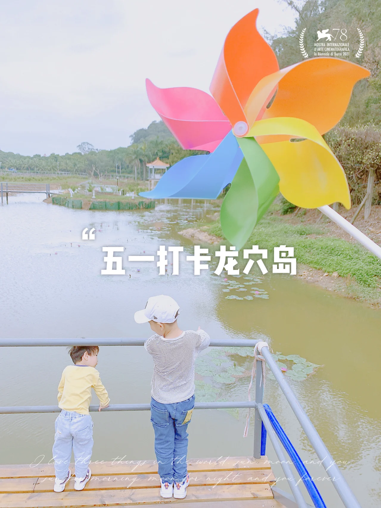 龙穴岛路亚(棘鼻青岛龙图片)