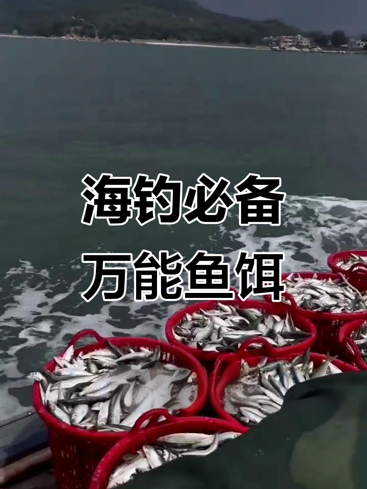 怎么制作海钓饵料(如何制作海钓鱼饵)