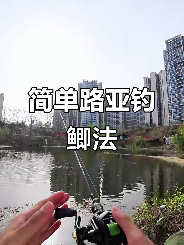 钓路亚有什么技巧(钓路亚的手法)