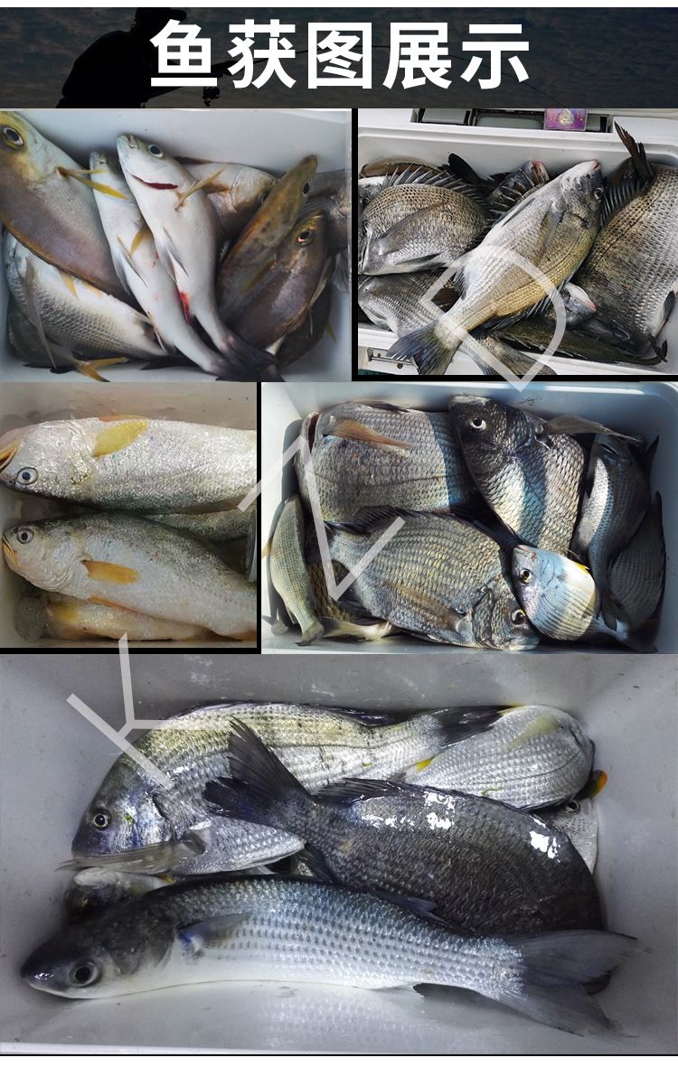 海钓饵料测试(海钓饵料测试图)