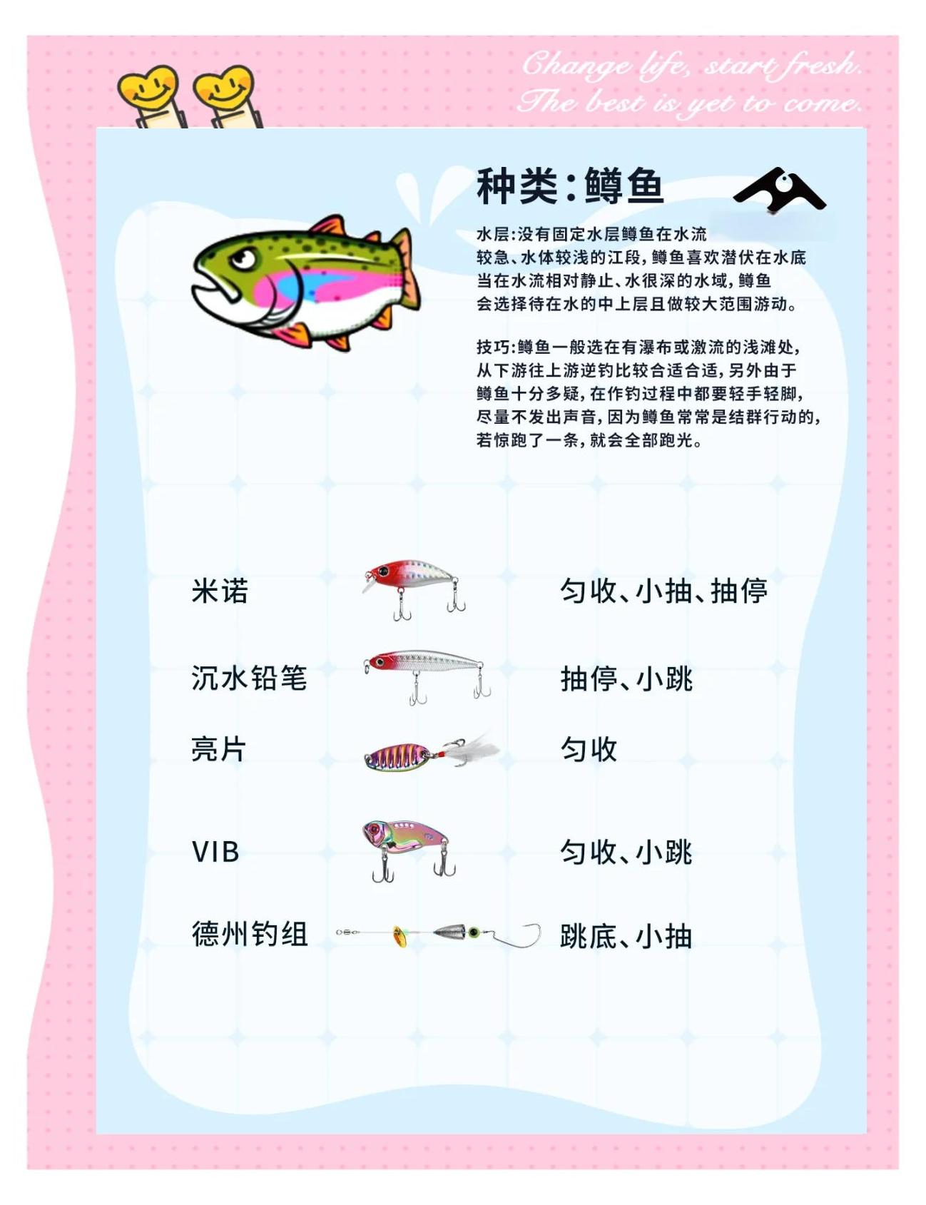 钓鱼饵料配方技巧(钓鱼饵料经典配方)