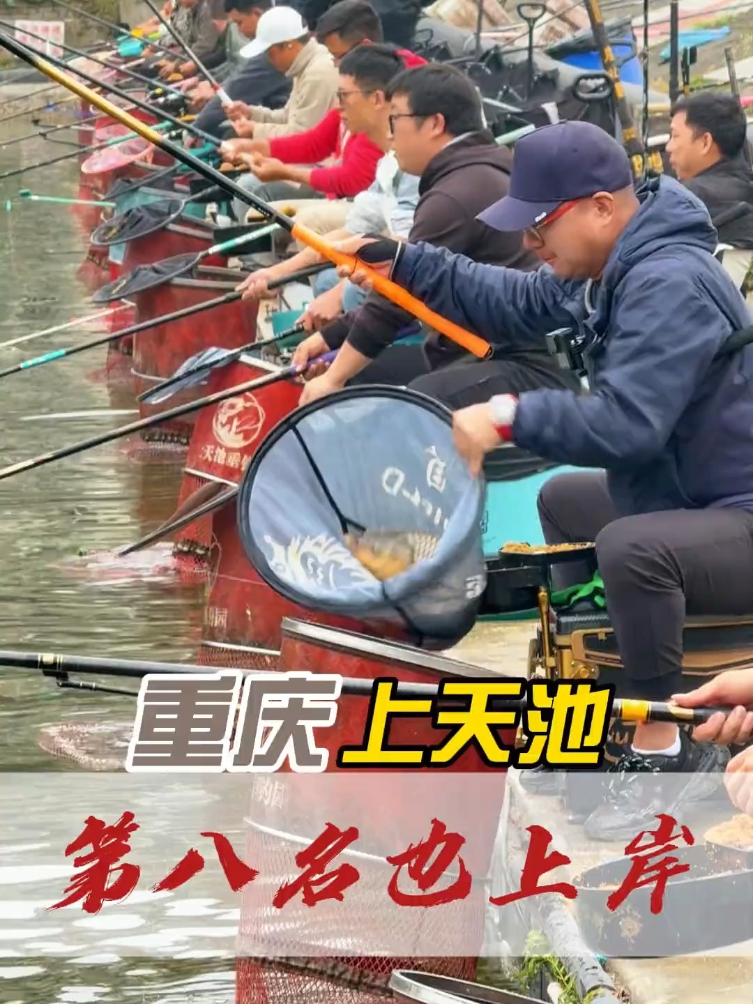 中秋黑坑钓鲤鱼技巧(中秋夜钓黑坑鲤鱼钓深还是钓浅)