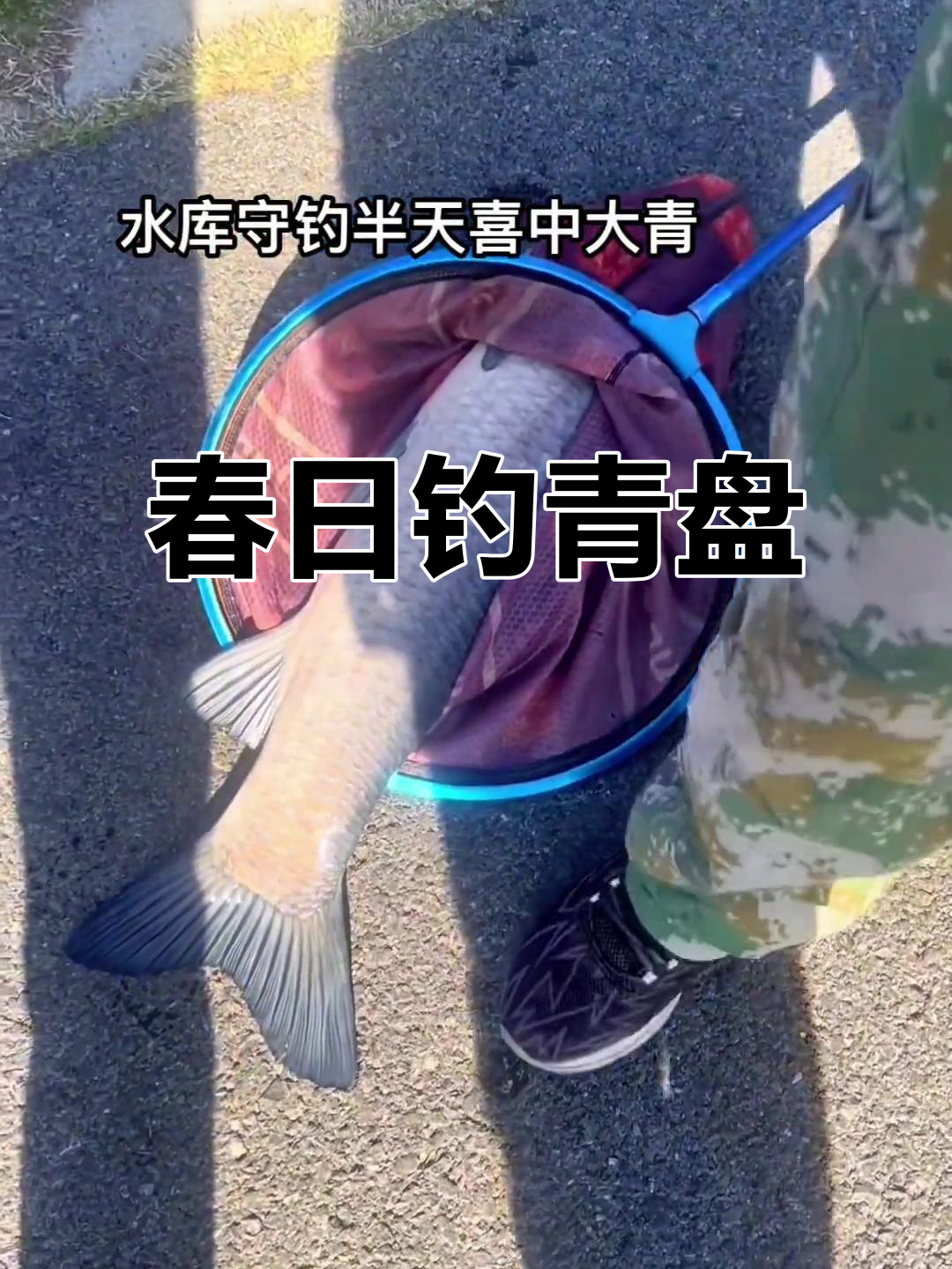 南京这边弹钓技巧(南京大纱帽巷洗头房)