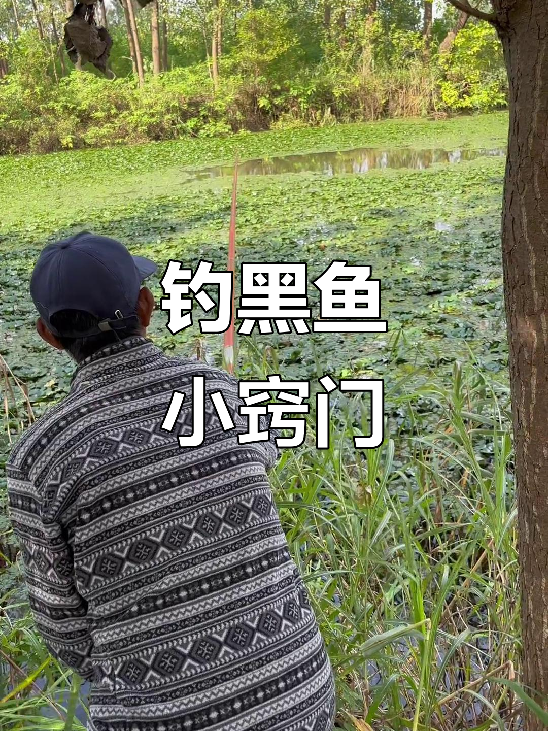 夏季水位下降钓鱼技巧(夏季水位下降钓鱼技巧图解)