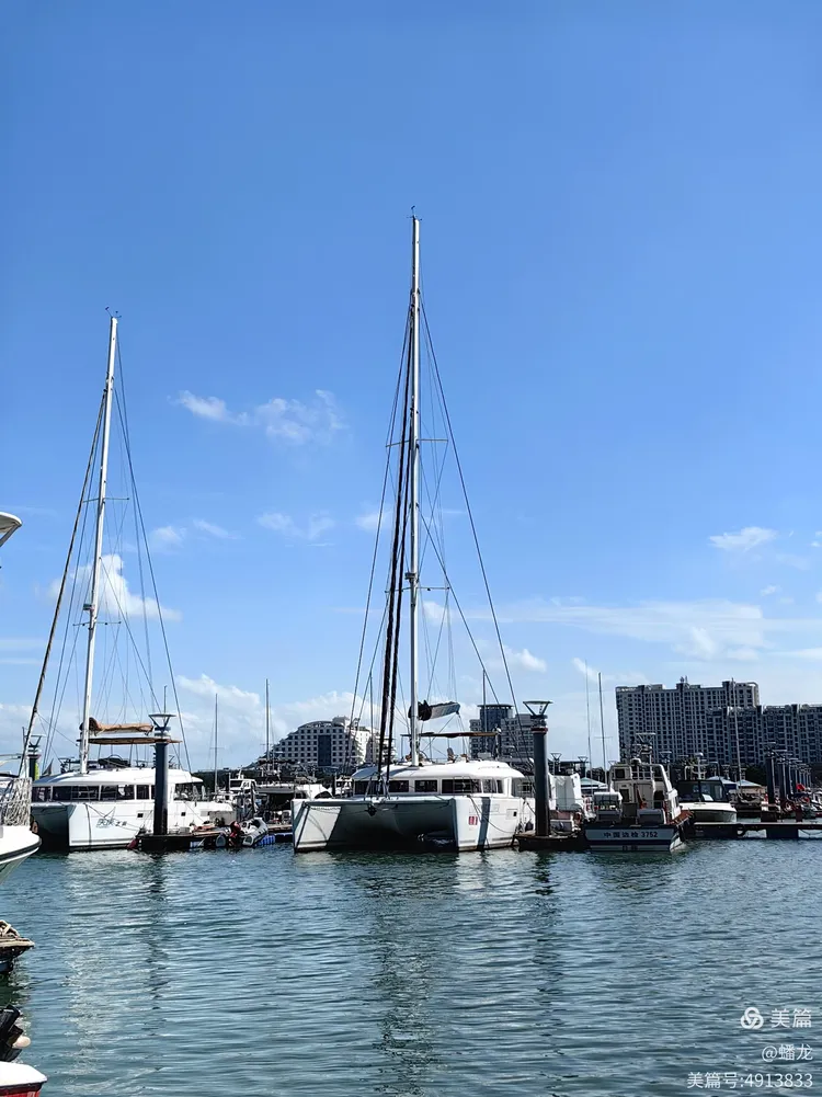海钓日照(日照海钓时间)