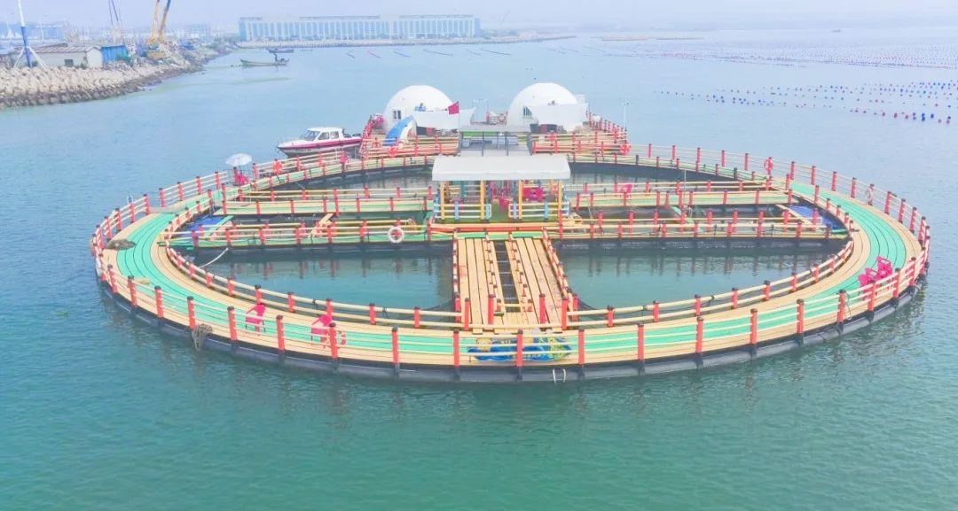 海钓日照(日照海钓时间)
