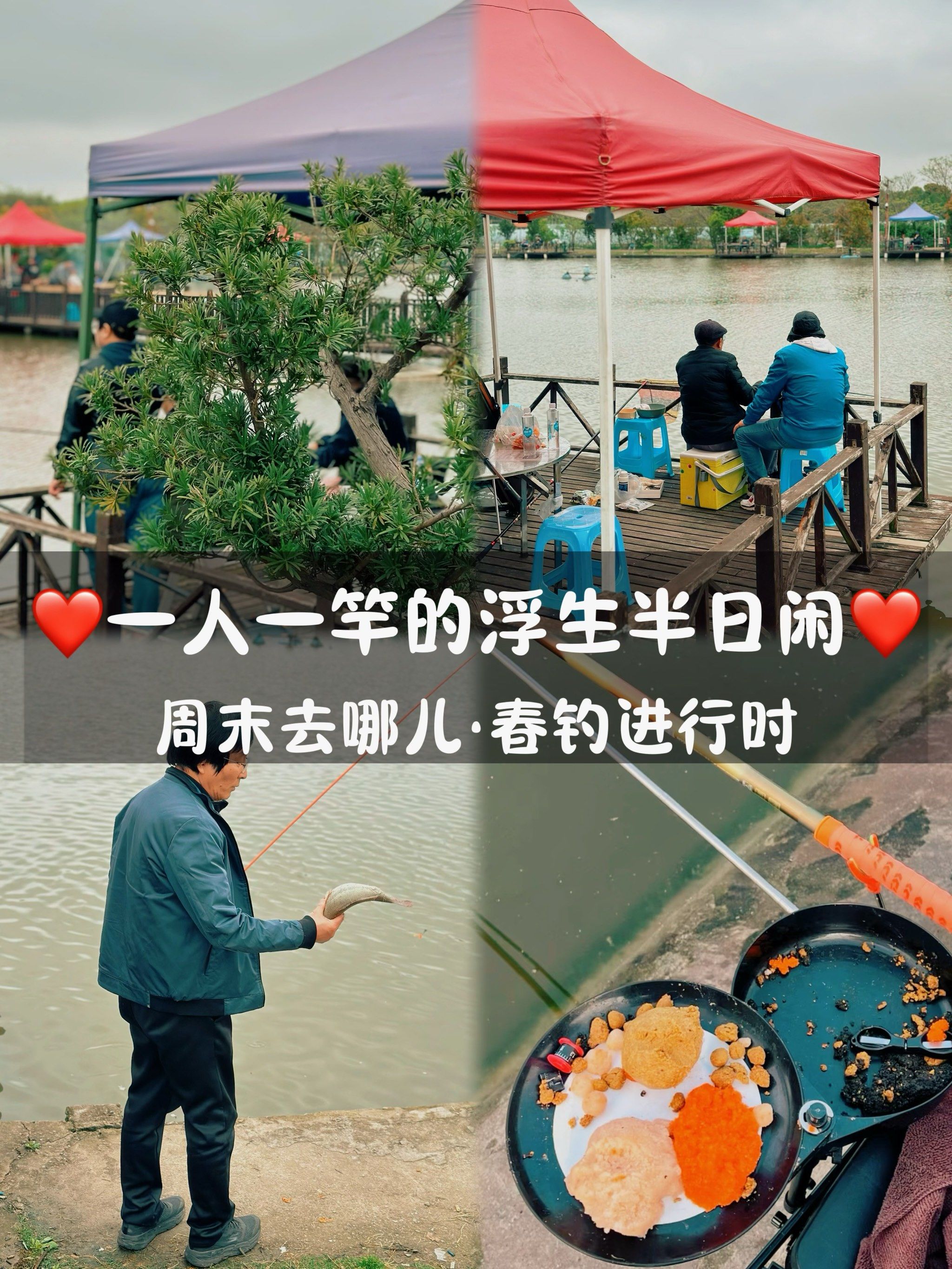 四海钓鱼钓赛进行时(四海钓鱼比赛视频)
