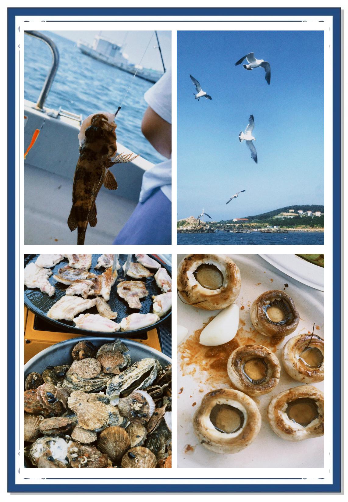 威海海钓2017价格(威海海景房在哪个区买最好)
