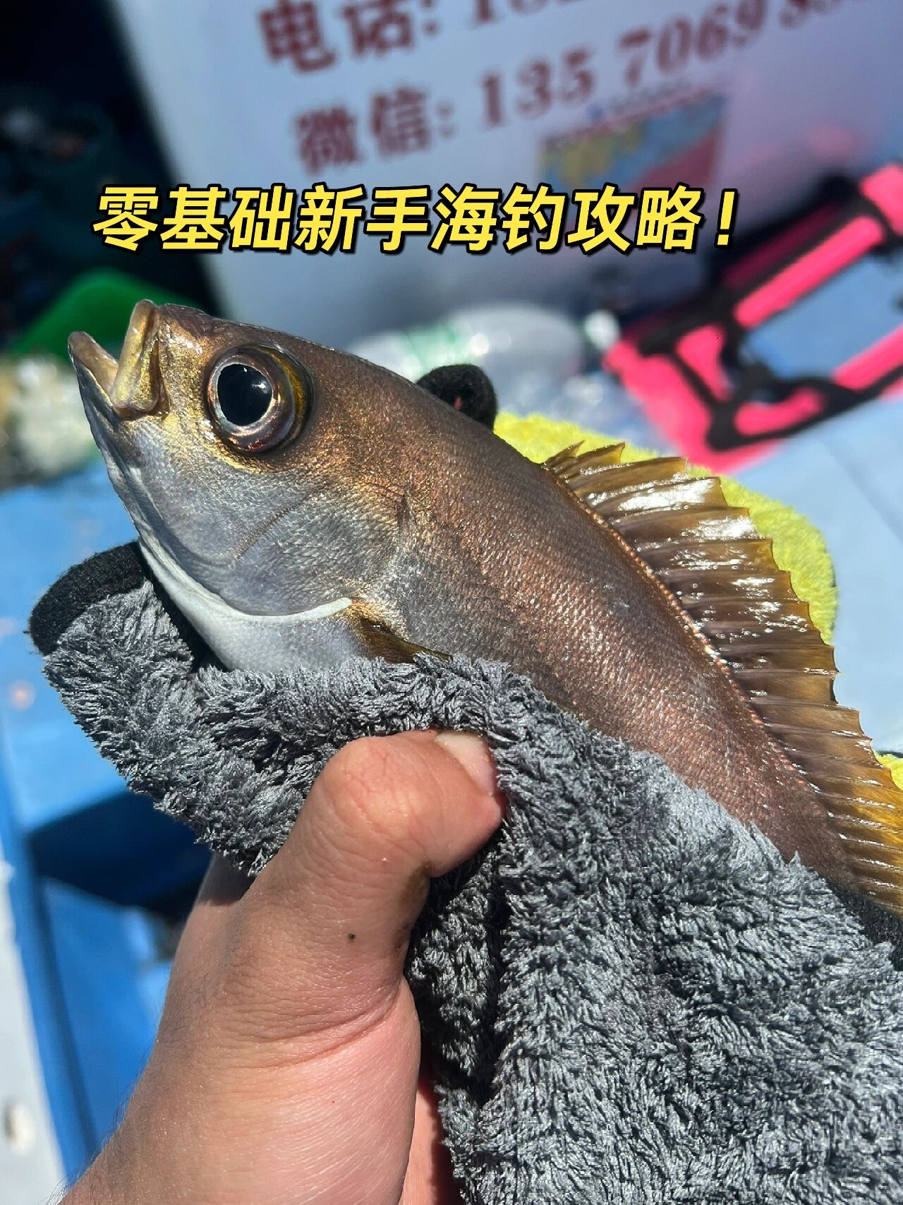 大亚湾海钓电话(大亚湾海钓一般什么鱼)