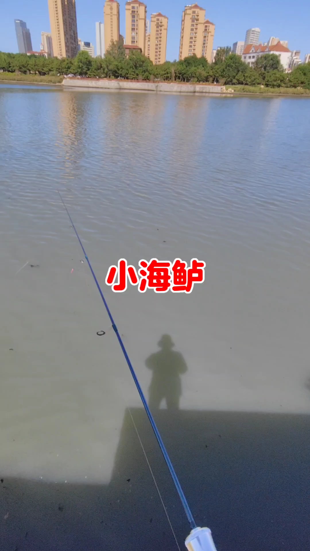 盖州海钓路亚(辽宁海边路亚)