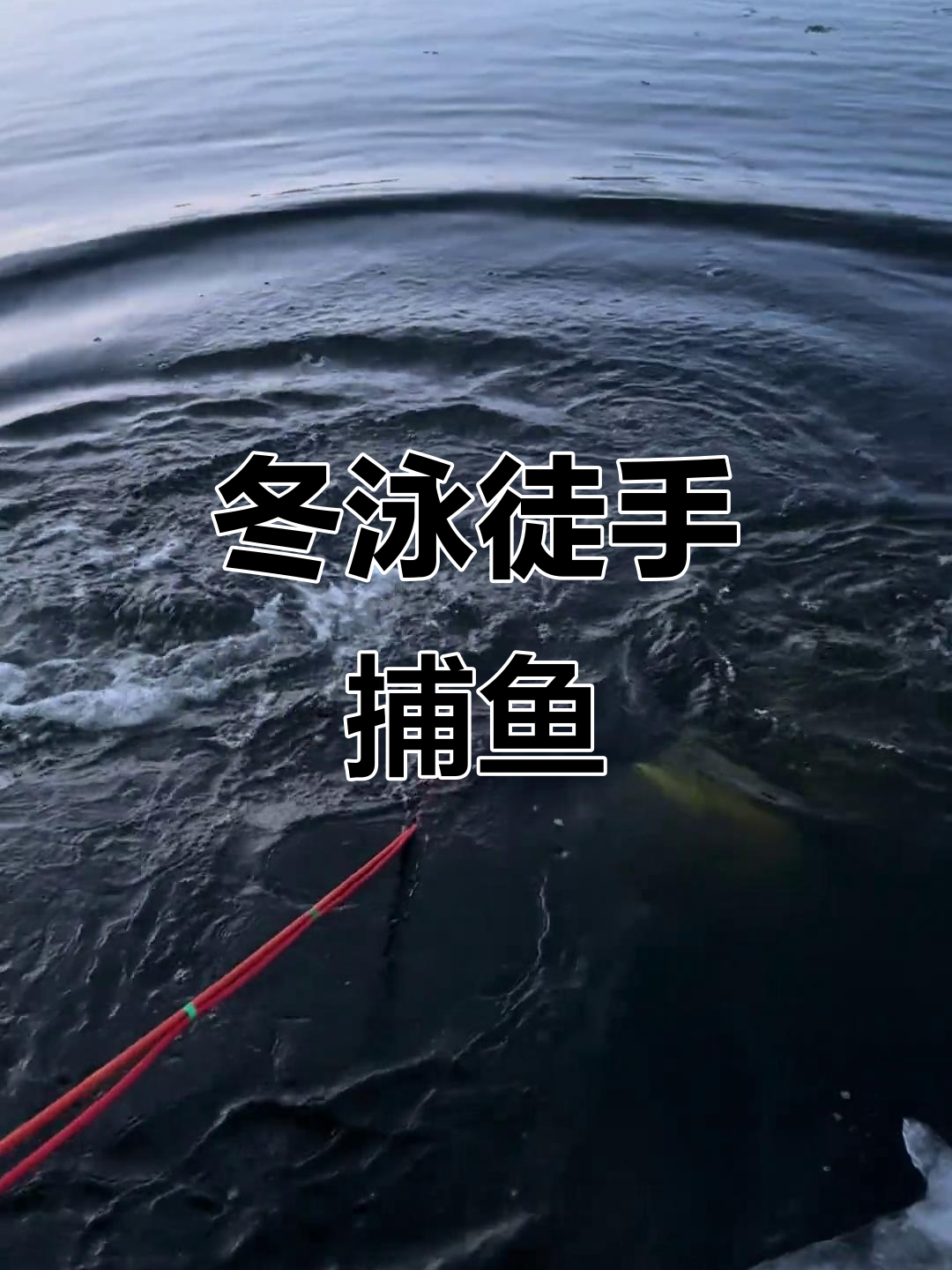 徒手抓鱼的技巧(徒手抓鱼技巧展示)