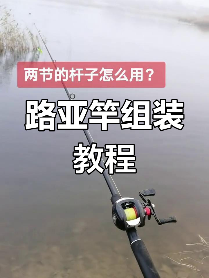 路亚杆的组装视频(路亚杆子怎么组装)
