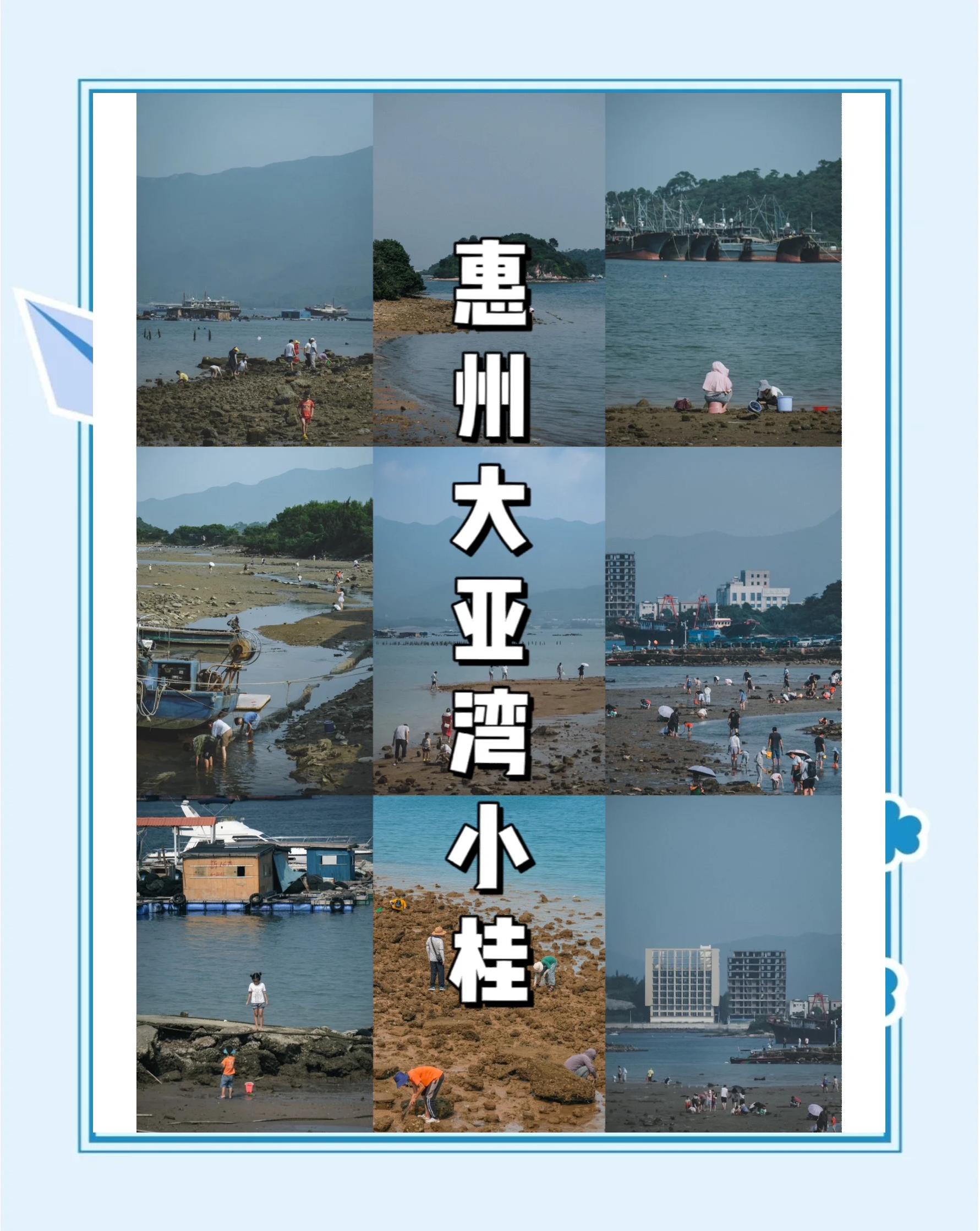 小桂码头海钓(小桂码头海鲜)