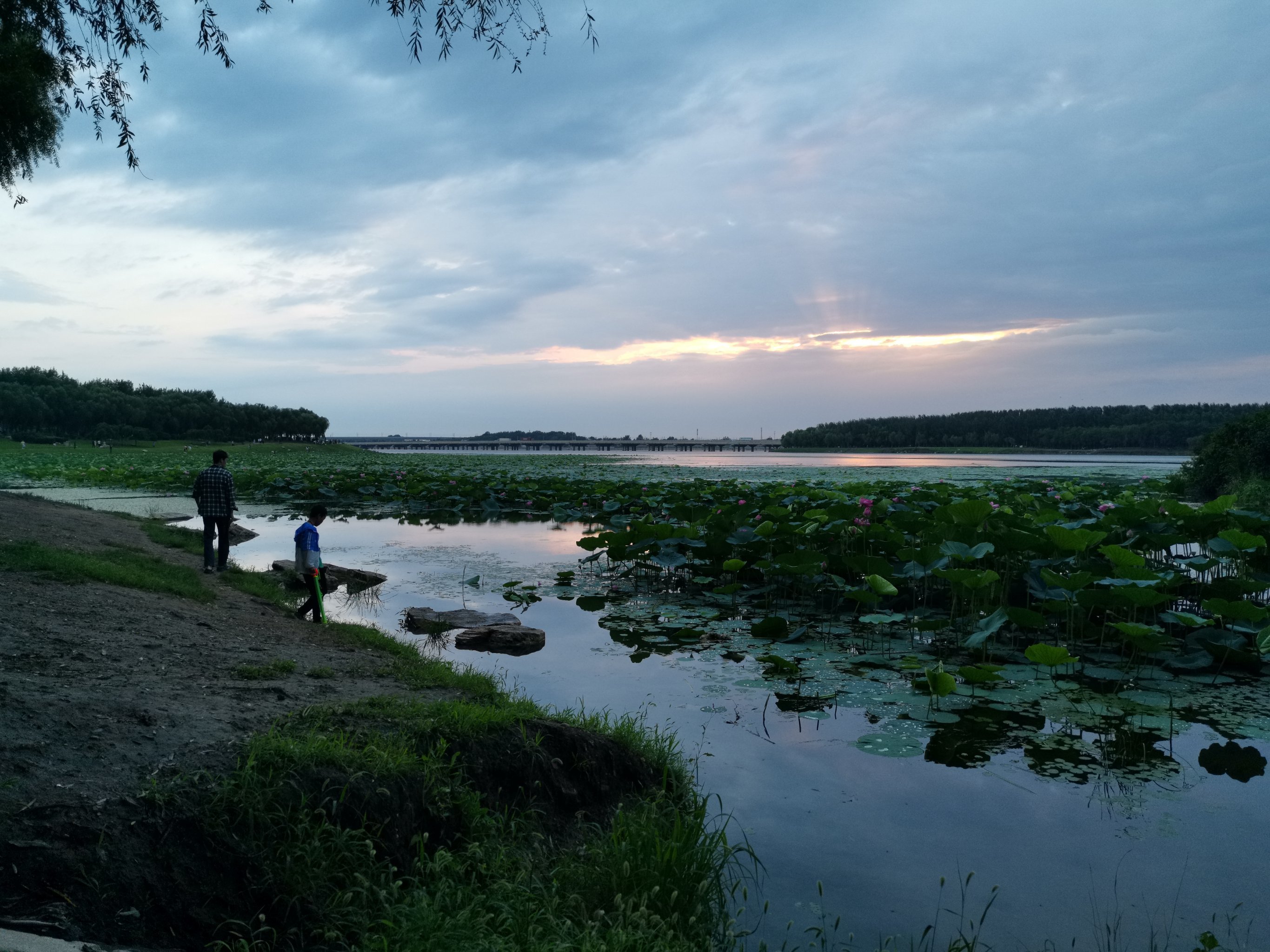 丁香湖路亚(丁香湖可以钓鱼)