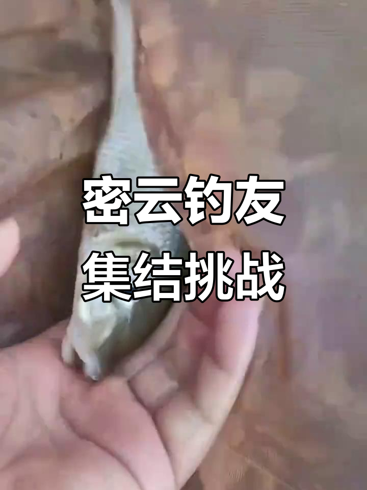 沙场水库路亚(沙场水库钓鱼收费吗)