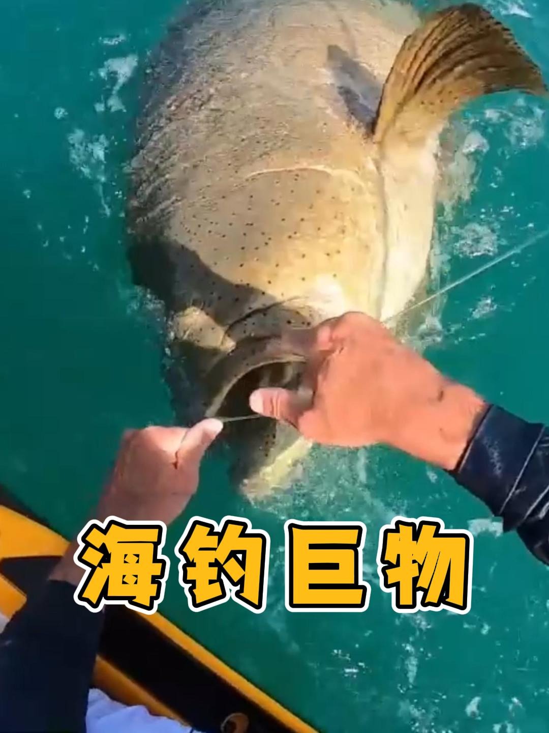海钓钓到江豚(八月份海钓钓什么鱼)