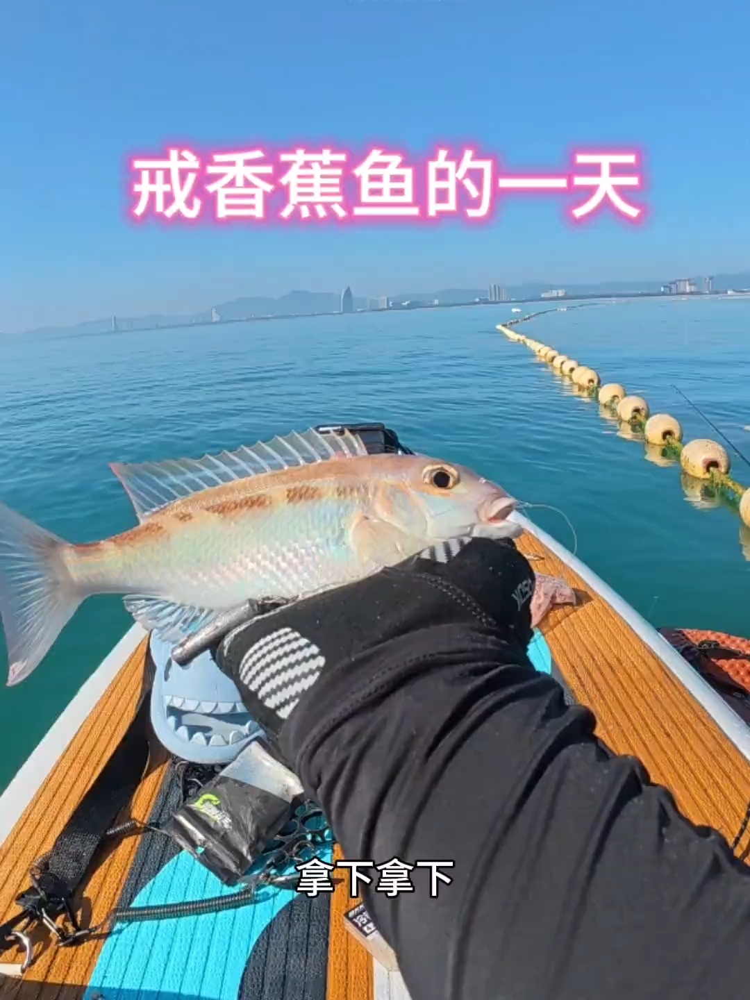 海钓钓到江豚(八月份海钓钓什么鱼)