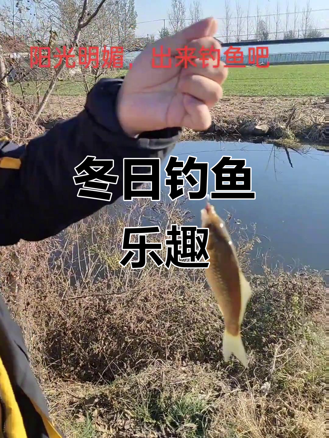 钓鲫鱼的技巧贴吧(野钓鲫鱼闹小鱼的绝招)
