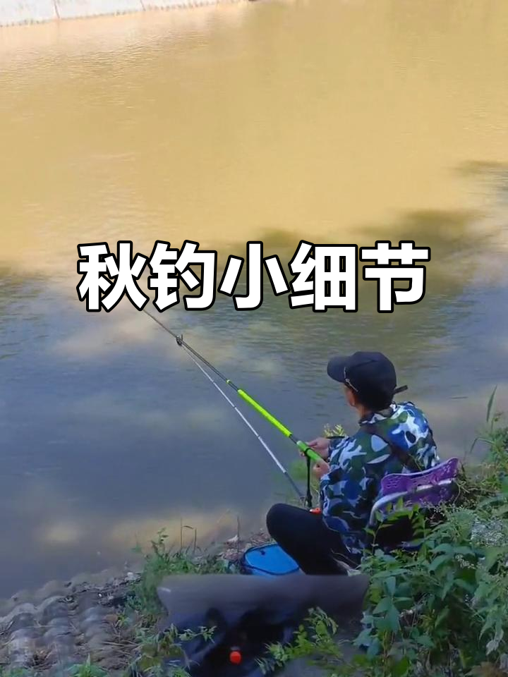 风大钓鱼有技巧么(风大钓鱼怎么钓)