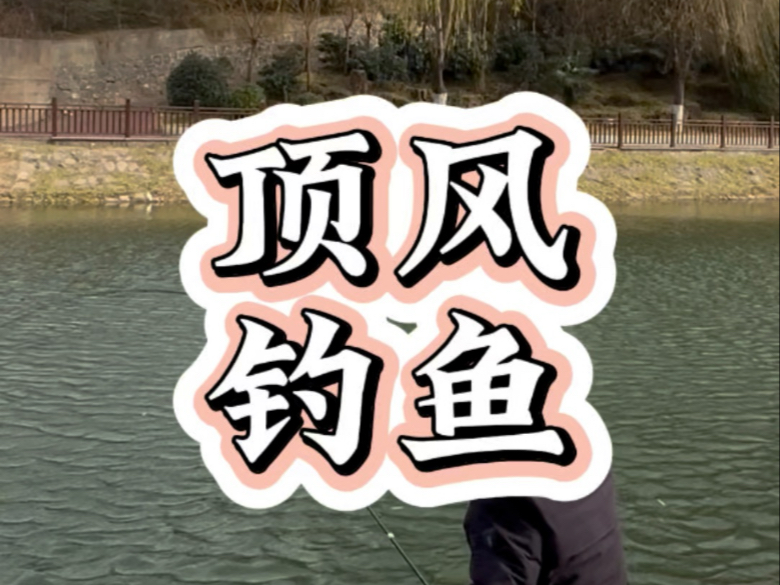 风大钓鱼有技巧么(风大钓鱼怎么钓)