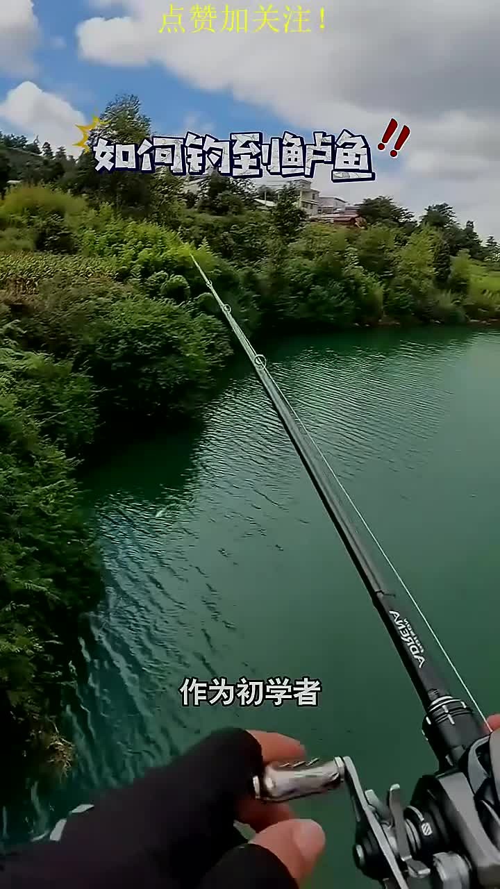 桥上海钓(桥上海钓梭鱼)