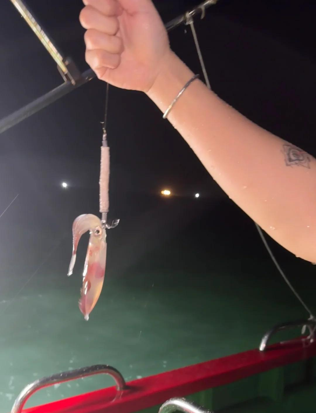 远海钓鱿鱼(出海钓鱿鱼视频)