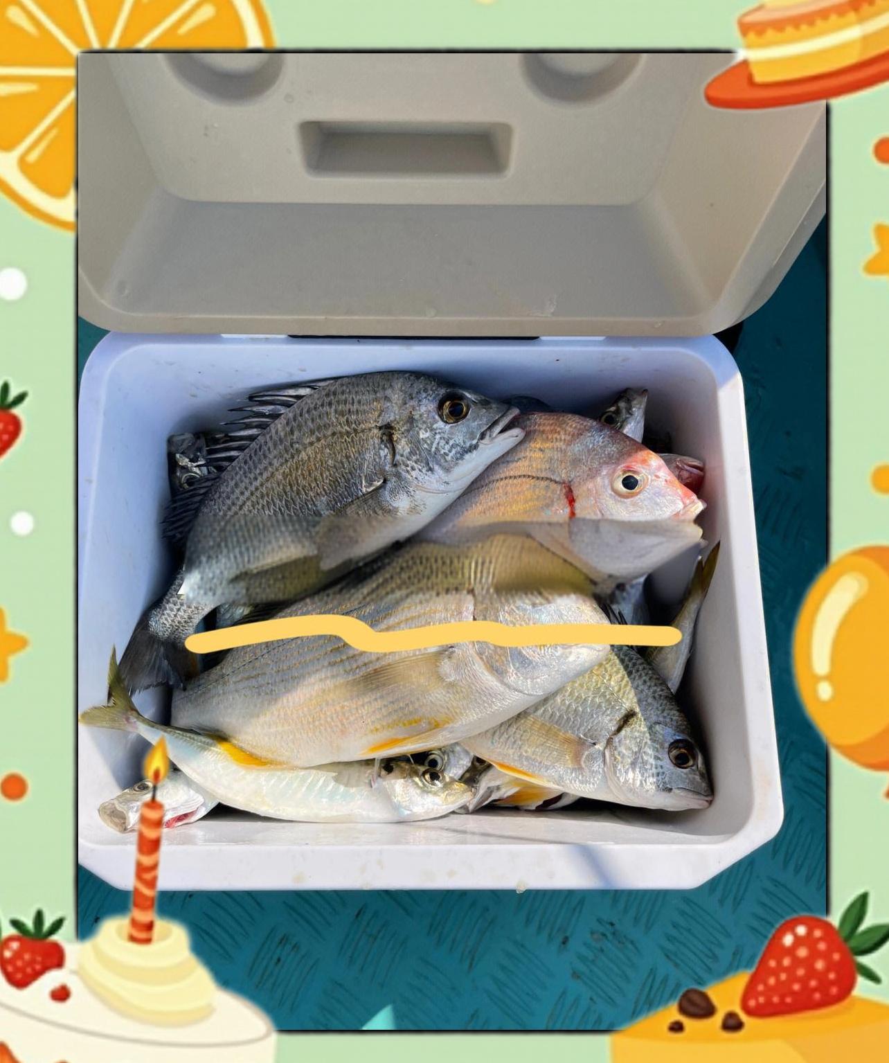 如何海钓沙梭(海钓梭鱼怎么钓用什么饵)