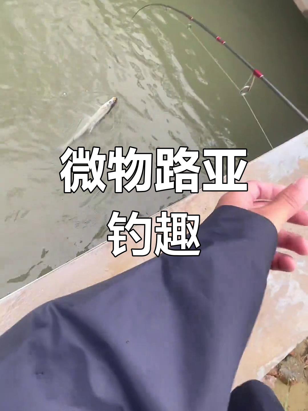 早春下雨路亚(下雨路亚好钓鱼吗)